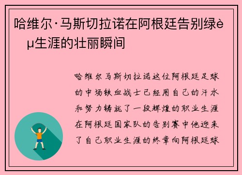 哈维尔·马斯切拉诺在阿根廷告别绿茵生涯的壮丽瞬间 哈维尔·马斯切拉诺在阿根廷告别绿茵生涯的壮丽瞬间