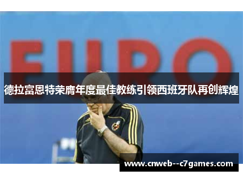 德拉富恩特荣膺年度最佳教练引领西班牙队再创辉煌